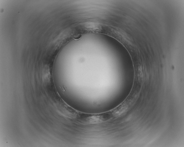 X0000076270320200609281212