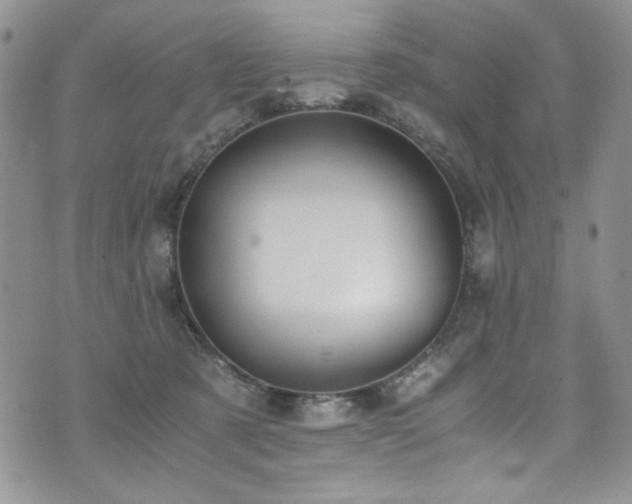 X0000076270321200609281212