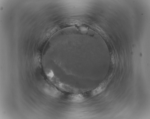 X0000076270322200609281212