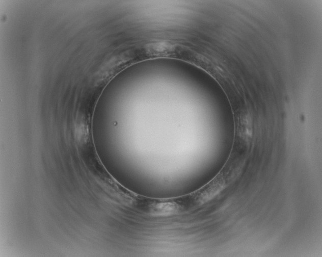 X0000076270324200609281212