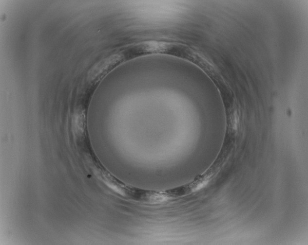 X0000076270325200609281212