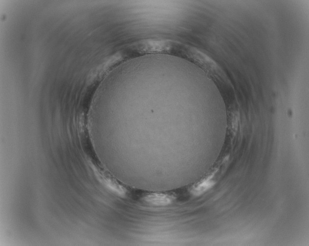 X0000076270326200609281212