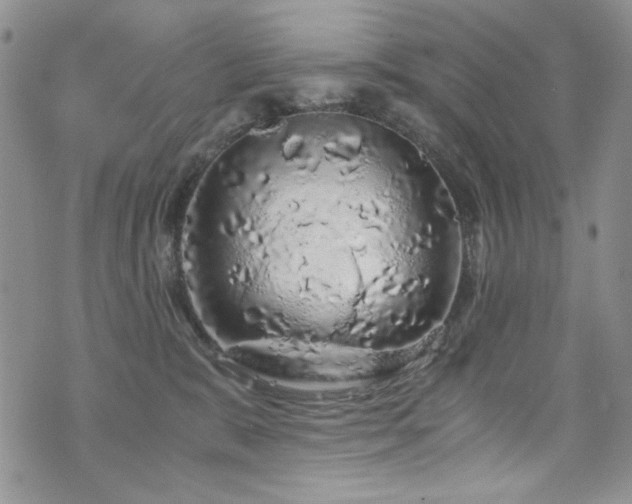 X0000076270327200609281212