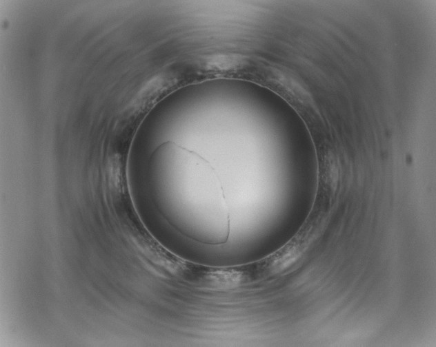 X0000076270328200609281212