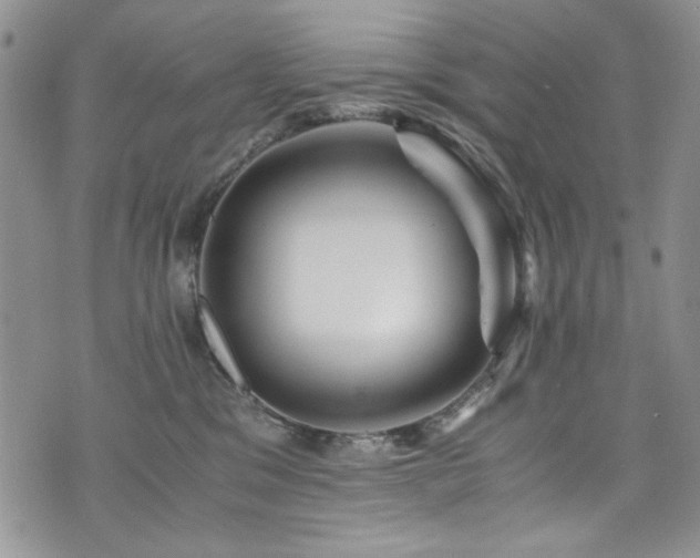 X0000076270329200609281212