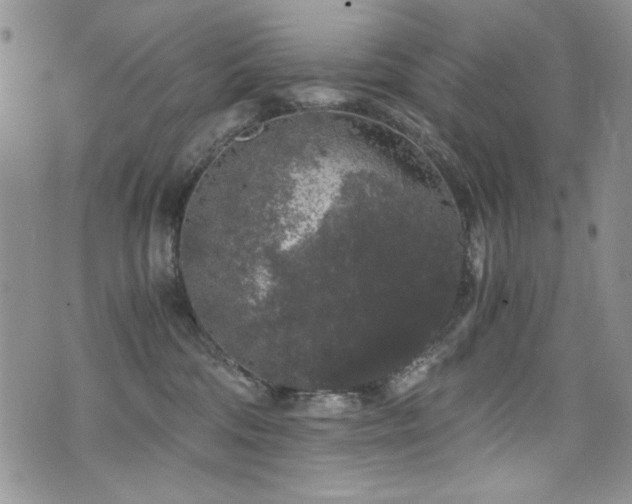 X0000076270330200609281212