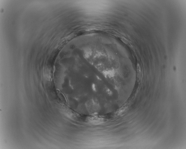 X0000076270331200609281212