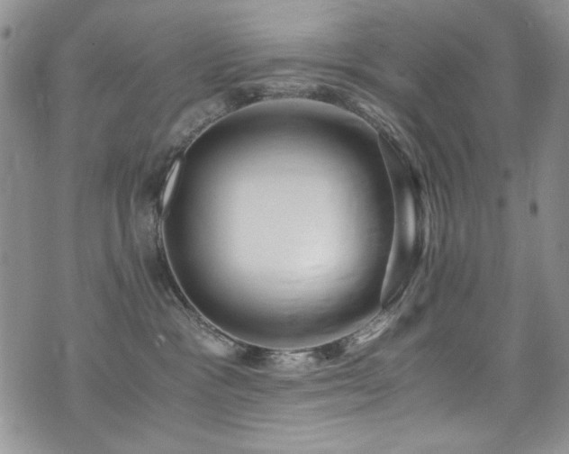 X0000076270333200609281212