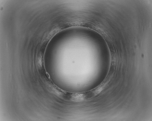 X0000076270334200609281212