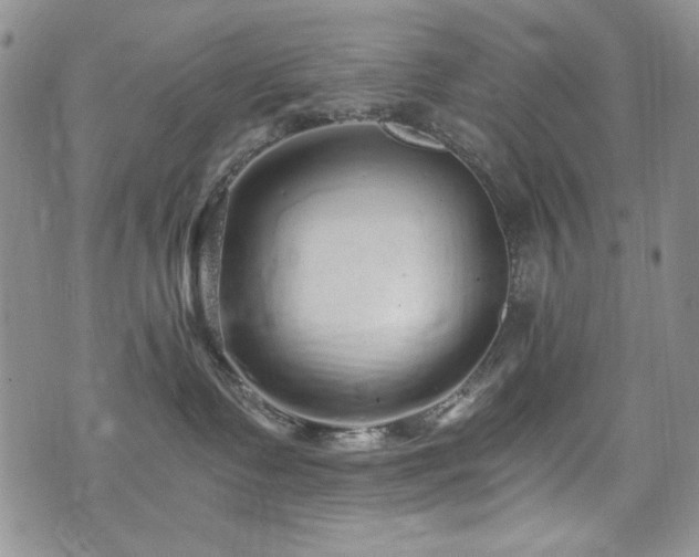 X0000076270335200609281212