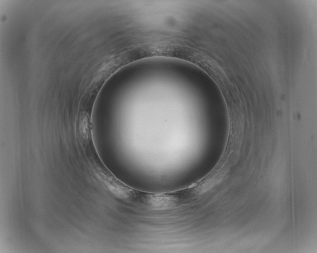 X0000076270336200609281212