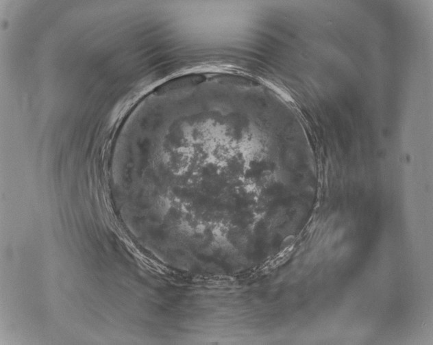 X0000076270337200609281211