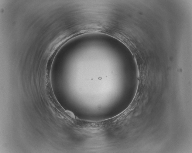 X0000076270338200609281211