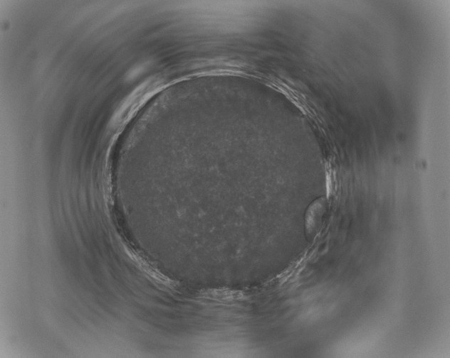 X0000076270339200609281211