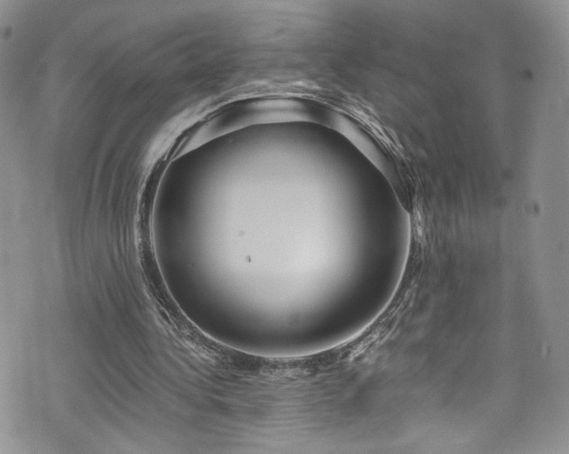 X0000076270340200609281211