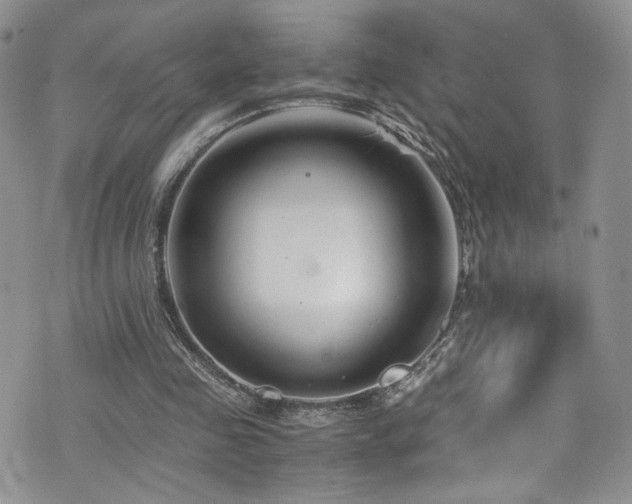 X0000076270341200609281211