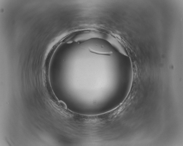 X0000076270342200609281211