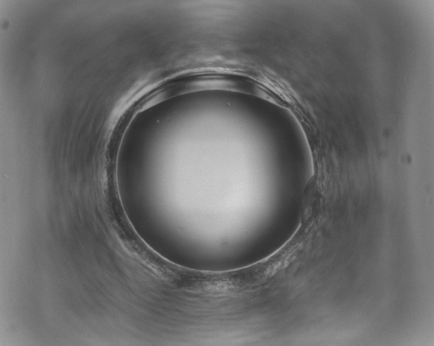 X0000076270344200609281211