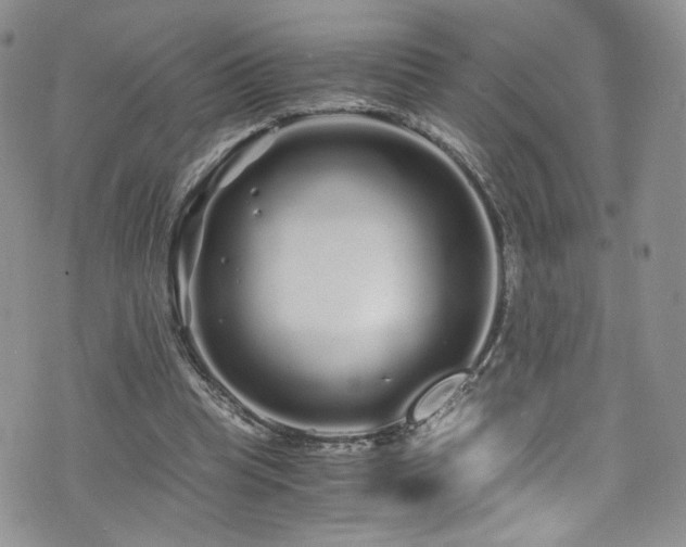 X0000076270345200609281211