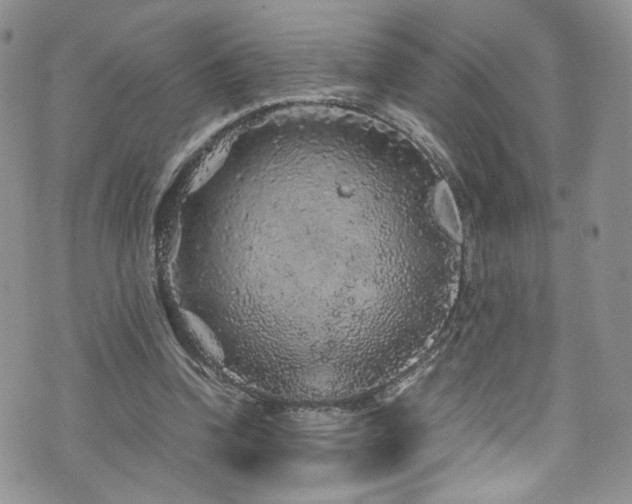 X0000076270346200609281211