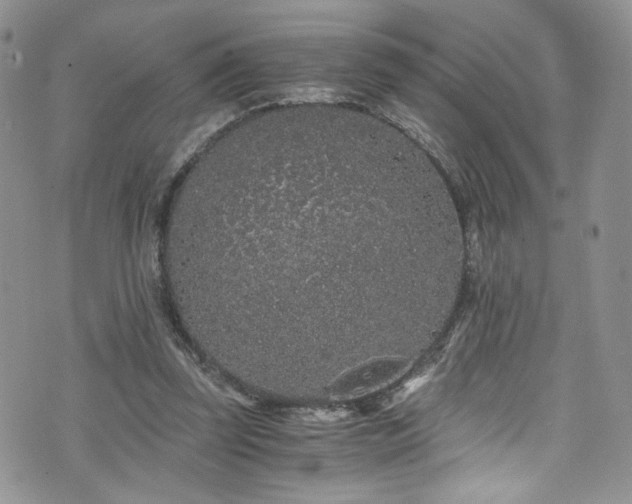 X0000076270347200609281211