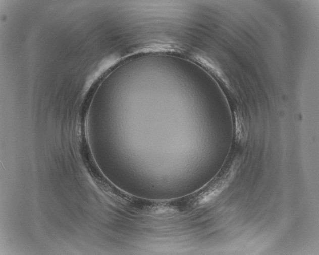 X0000076270348200609281211