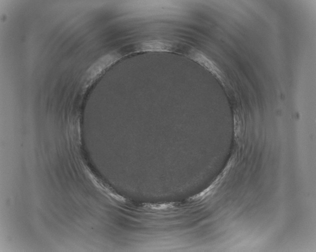 X0000076270349200609281211