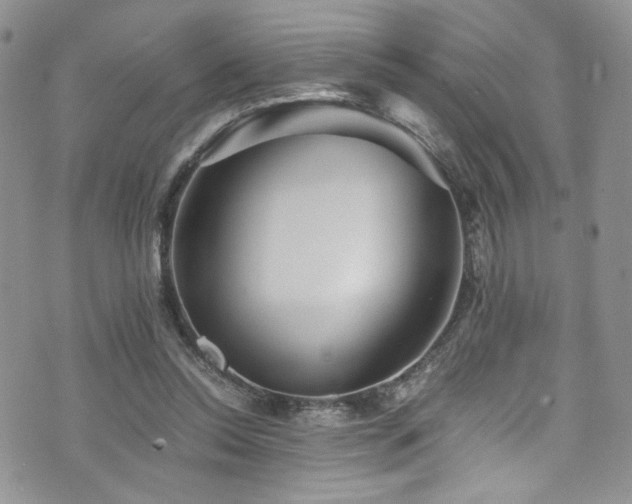 X0000076270350200609281211