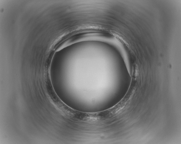 X0000076270352200609281211