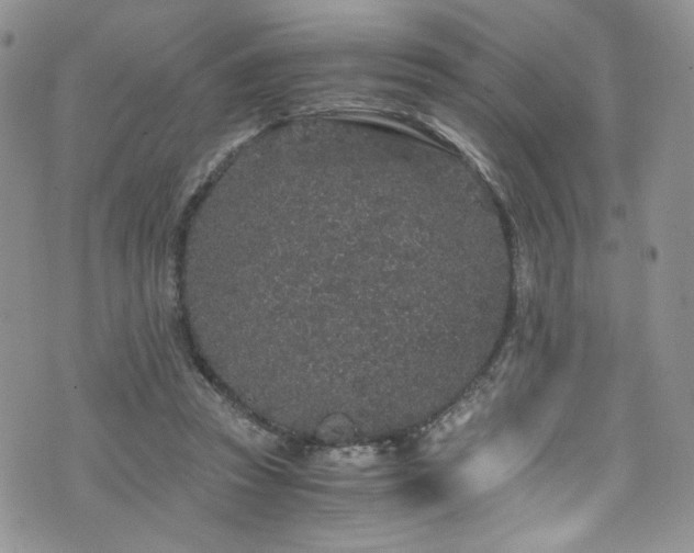 X0000076270353200609281211