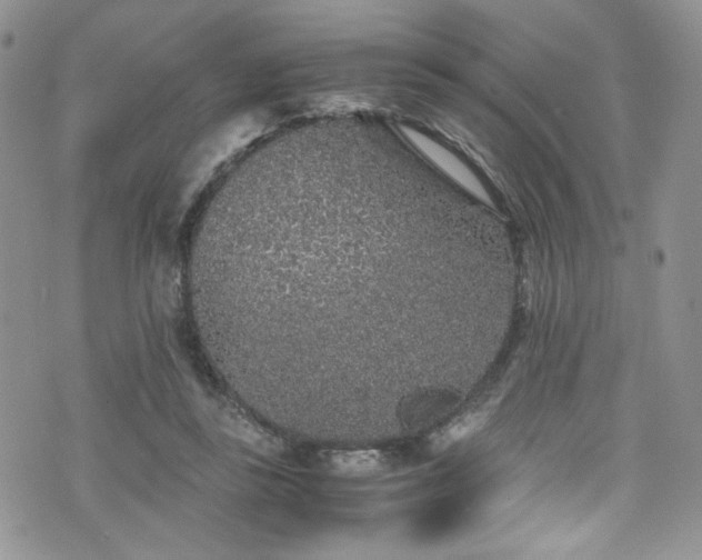 X0000076270355200609281211