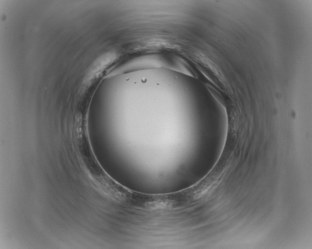 X0000076270356200609281211