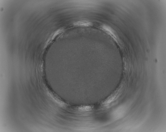 X0000076270357200609281211