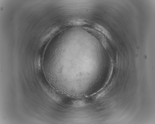 X0000076270358200609281211