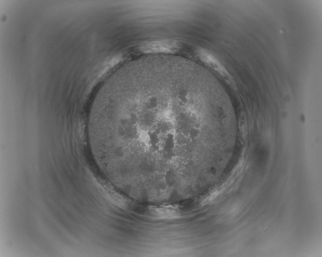 X0000076270359200609281211