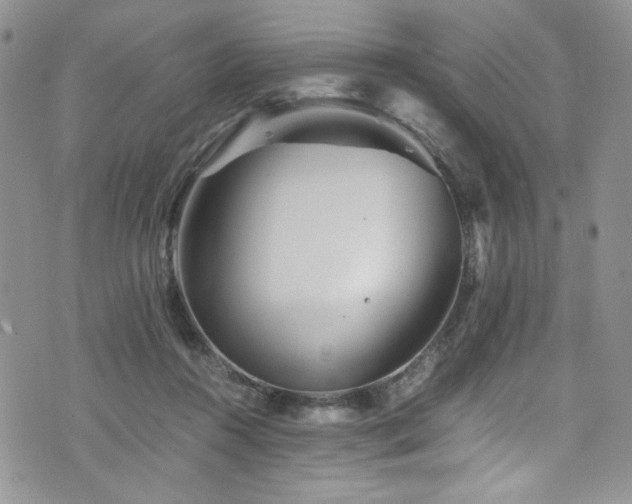 X0000076270360200609281211