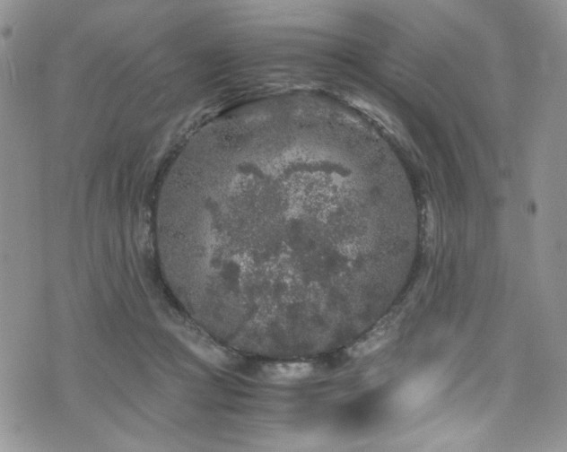 X0000076270361200609281211