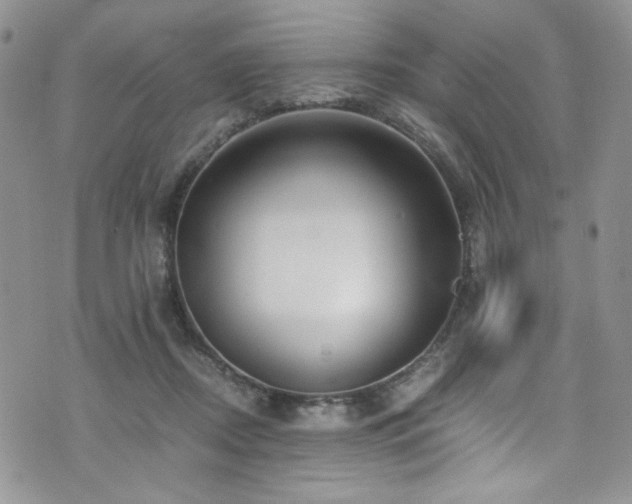 X0000076270362200609281211