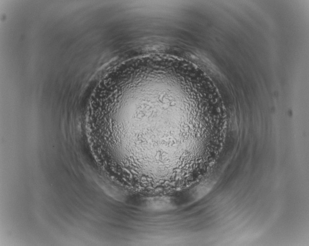 X0000076270363200609281211