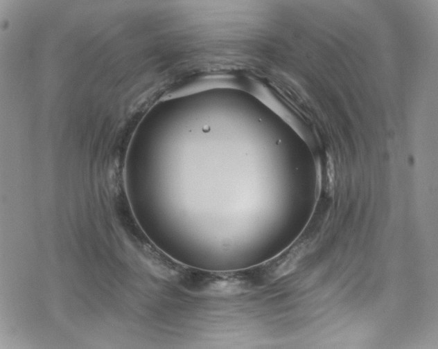 X0000076270364200609281211