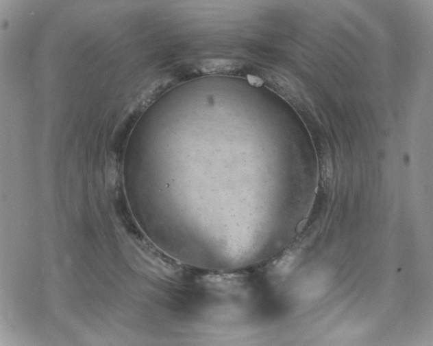 X0000076270367200609281211