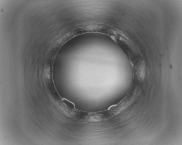 X0000076270368200609281211