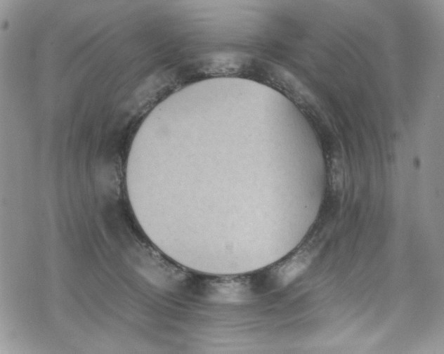 X0000076270370200609281211