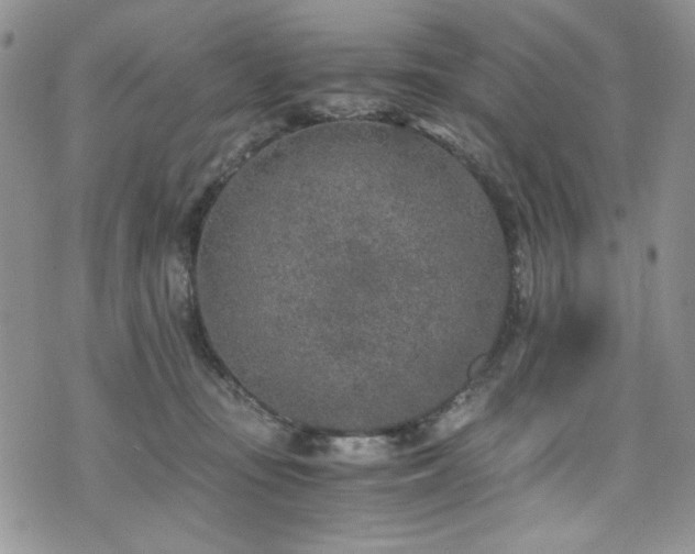 X0000076270371200609281211