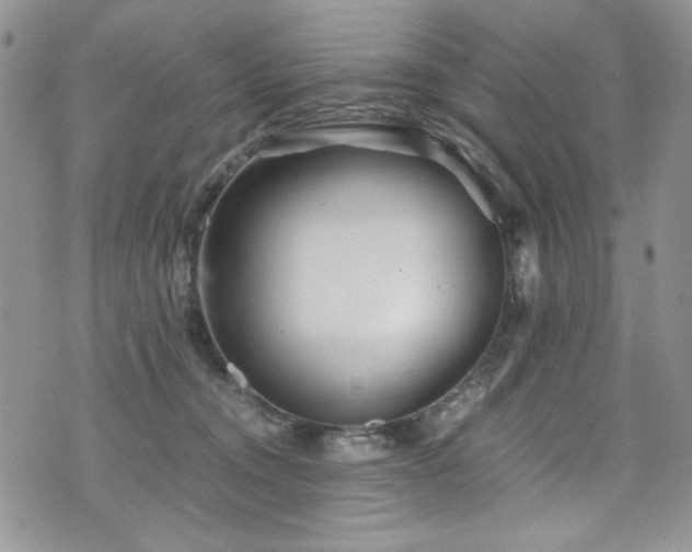 X0000076270372200609281211