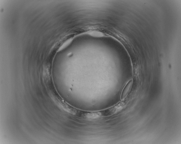 X0000076270373200609281211