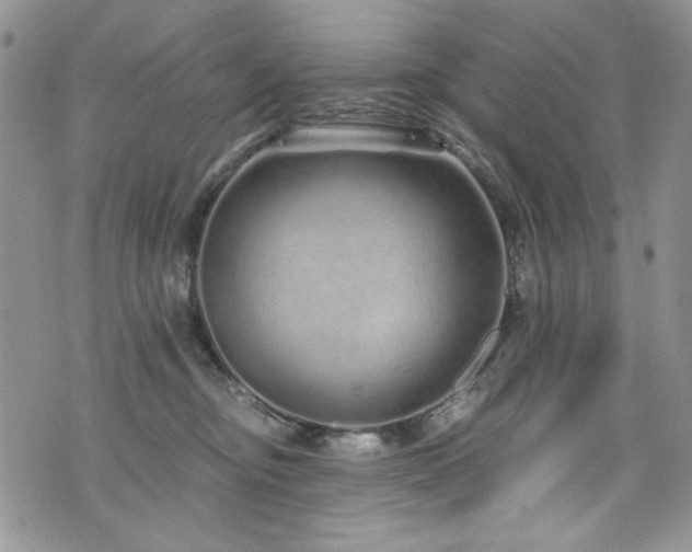 X0000076270374200609281211