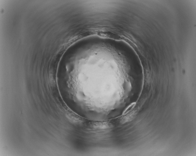 X0000076270377200609281211