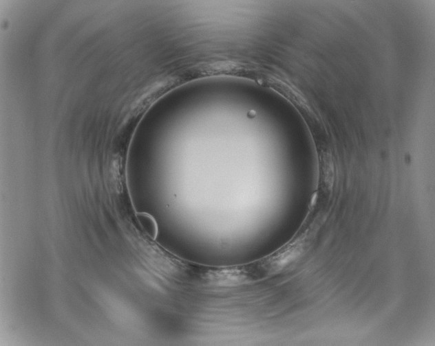 X0000076270378200609281211