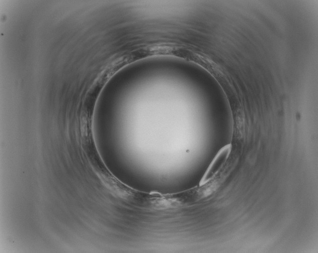 X0000076270379200609281211